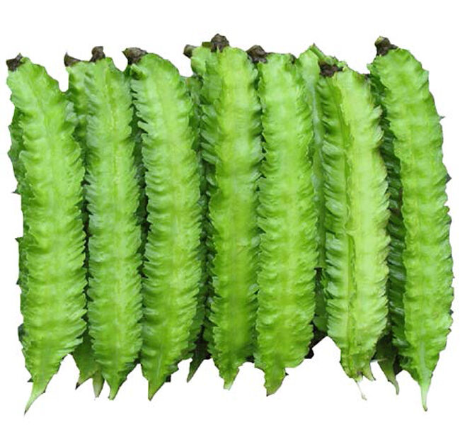 Winged Beans (Per Pack)