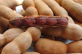 Tamarind Without Seed