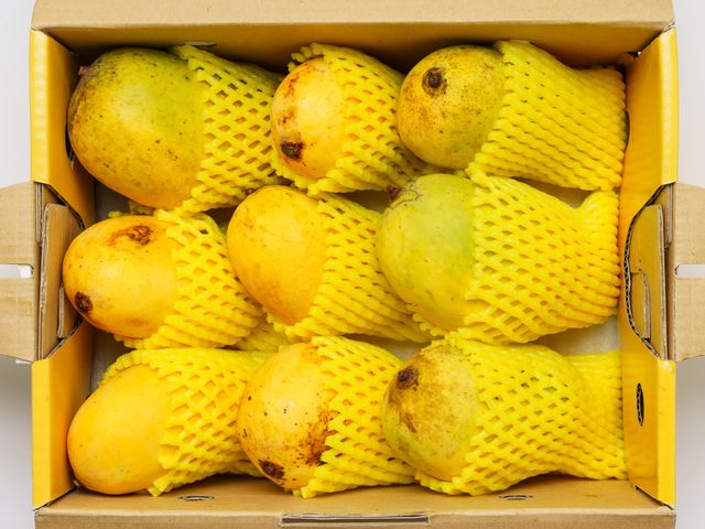 Pakistan Mango /Box(Large)