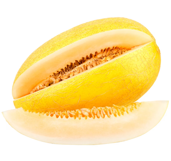 CANTALOUPE(Each)