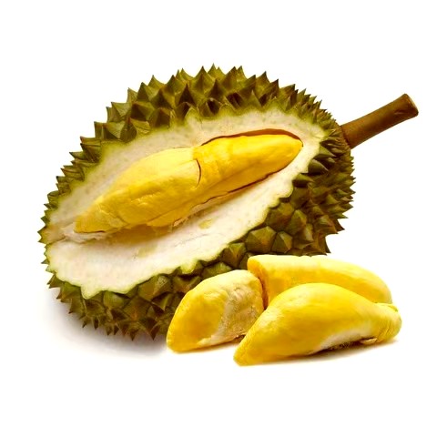 DURIAN