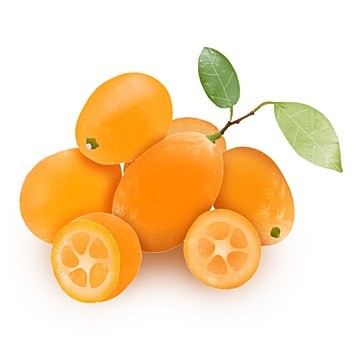Kumquat (Pack)