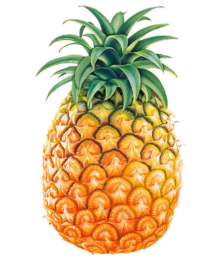 Pineapple (Each)