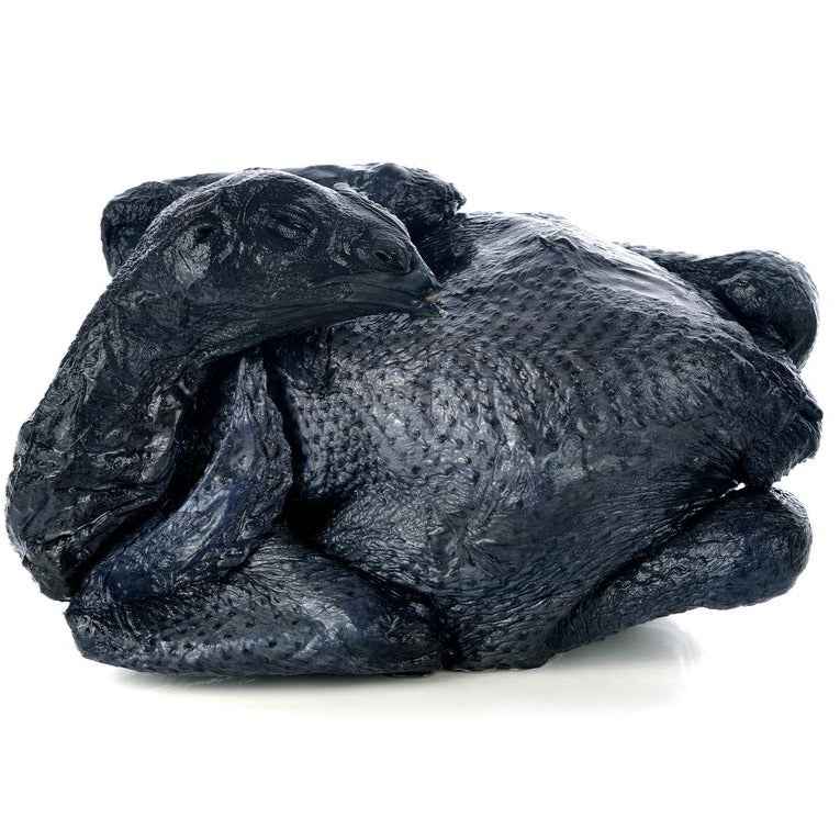 BLACK CHICKEN              （each）