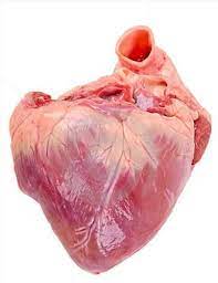 Pork Heart 1kg