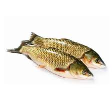 Fresh Grass Carp 1KG