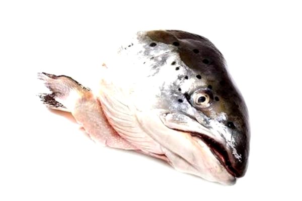 Salmon Head (2Pcs)