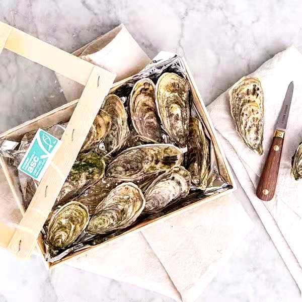 Fresh Jersey Oyster 1pack