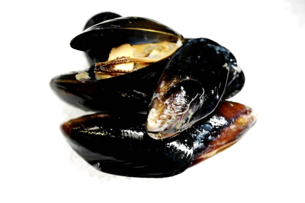 Fresh Mussels 1bag