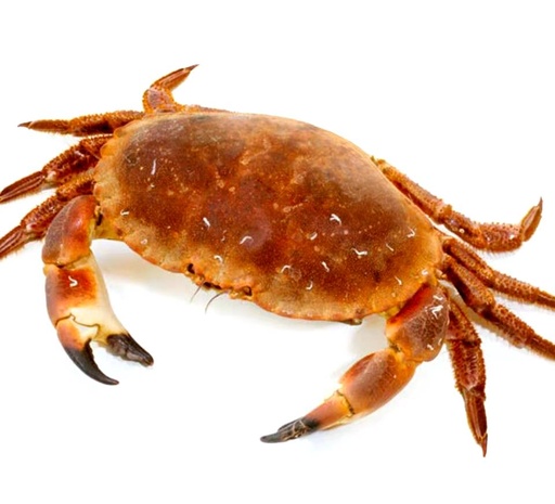 Scottish Crab 1kg