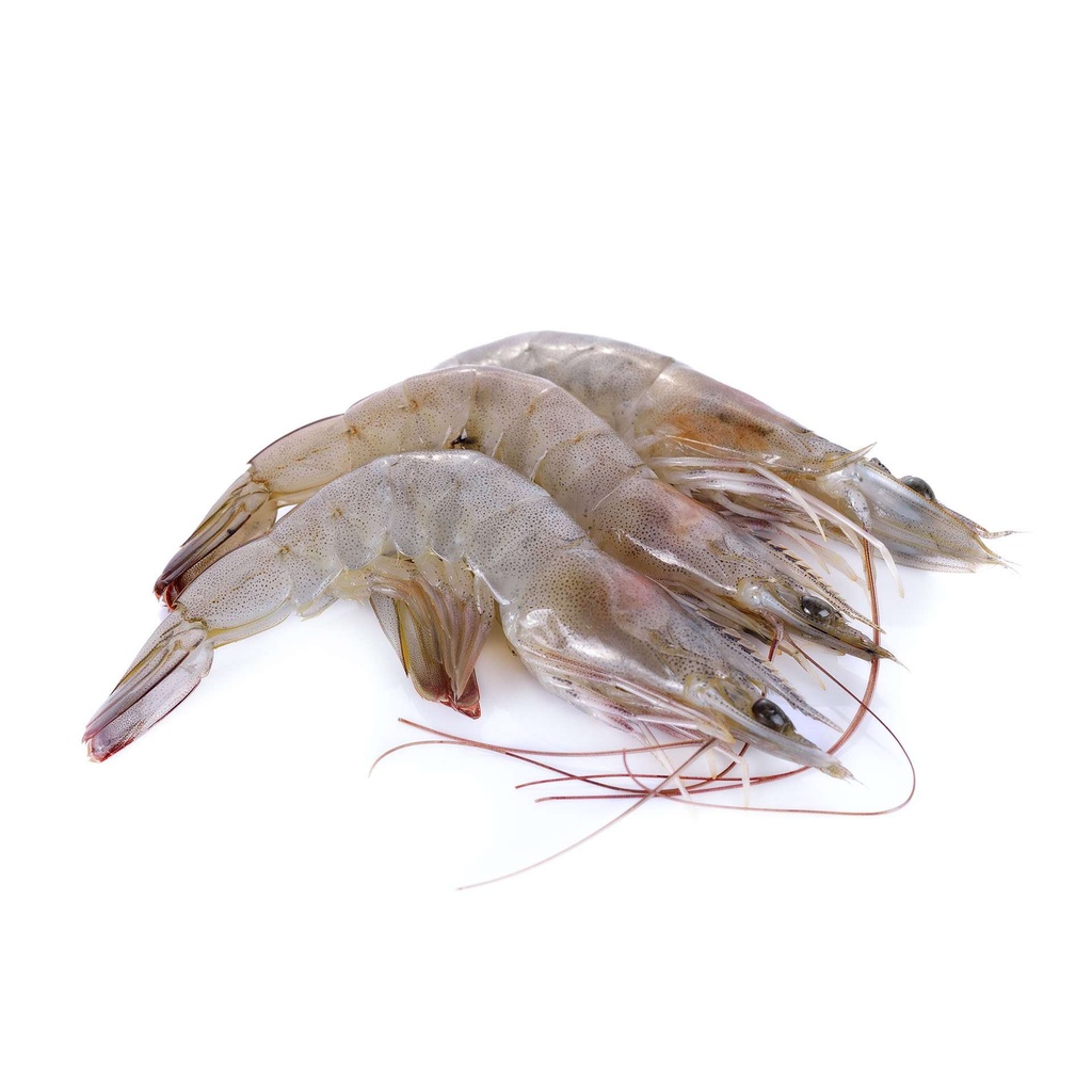 新鲜大虾1kg