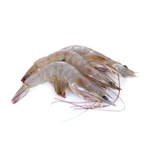 Fresh Prawn 1kg