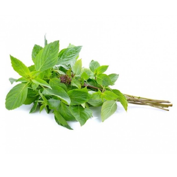 Thai Sweet Basil (Per Pack)