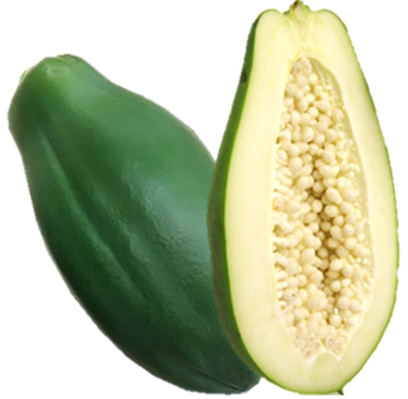 Thailand青木瓜1kg