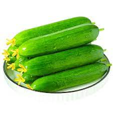 Cucumber