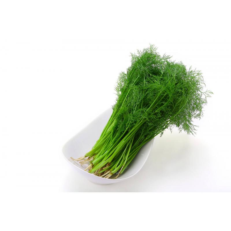 Dill