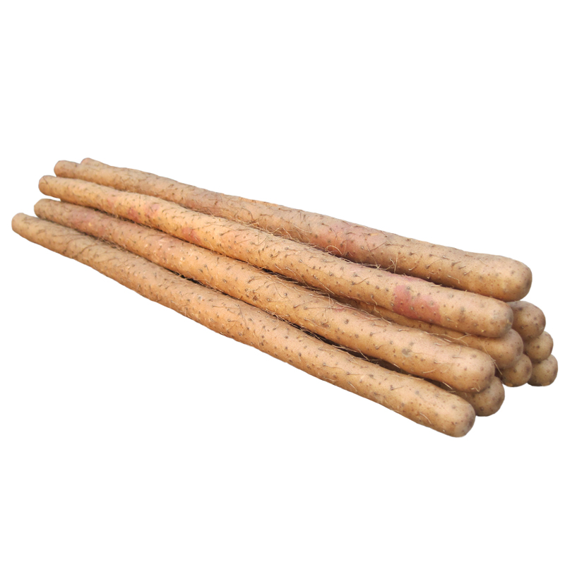 Long Chinese Yam    