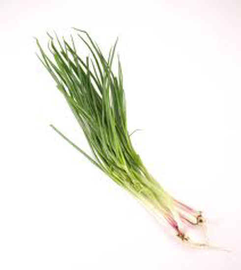 Spring Onion (Each)