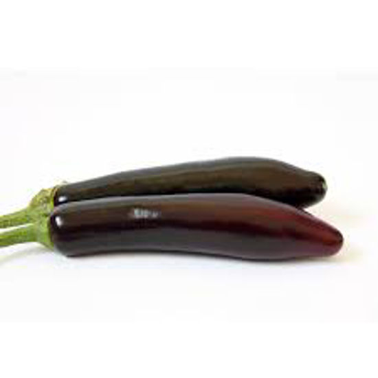 Chinese Aubergine (Per kg)