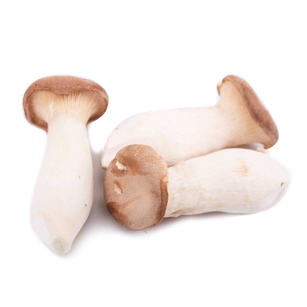 King Oyst Mushroom (Per kg)