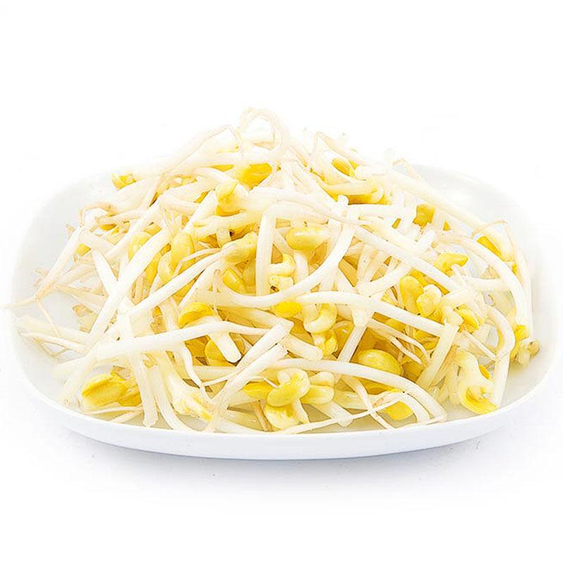 Soy Bean Sprouts  