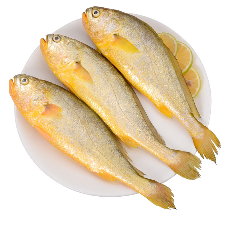 yellow croaker（per kg）