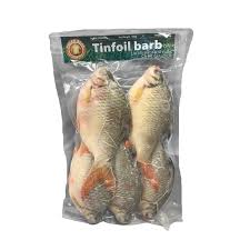  Frozen Tinfoil Barb Fish