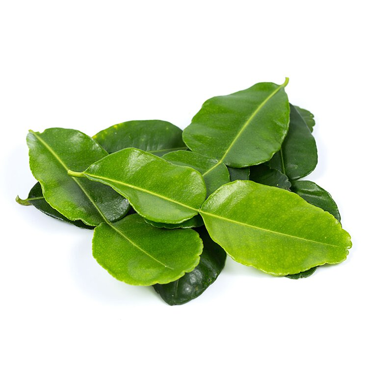 Fresh Lime Leaf