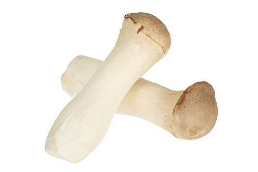 Fresh King Oyster Mushroom 1bag