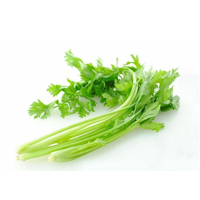 Fresh Celery（Bag）