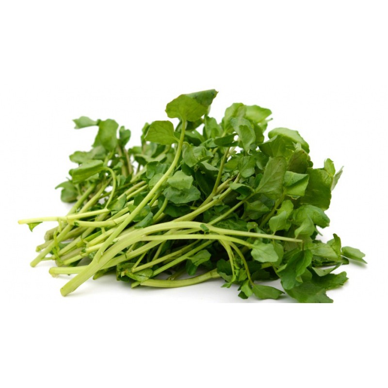 Fresh Watercress