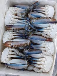 ACC&CO Frozen Half Cut Swimming Crab 600G
