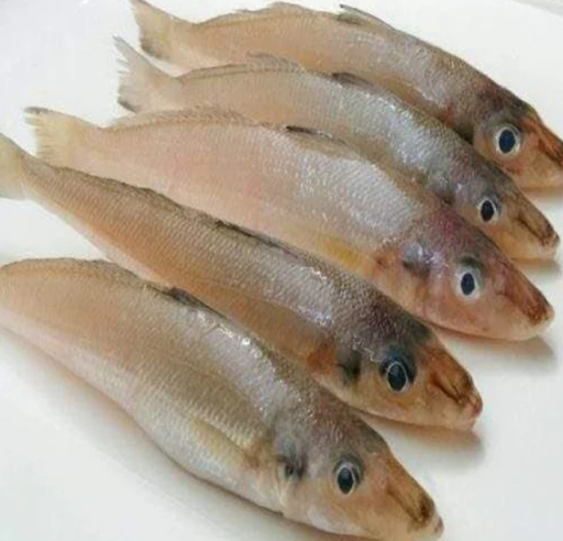 Fresh Lady Fish 1KG