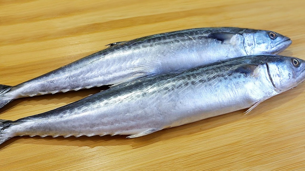 King Fish 1KG