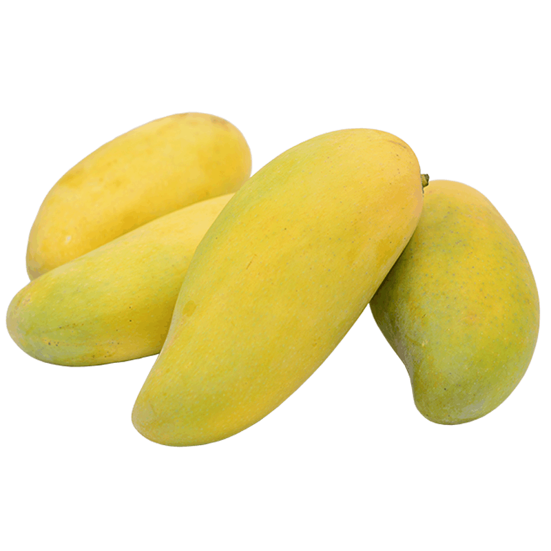 THAI Ivory Mango (1Box)