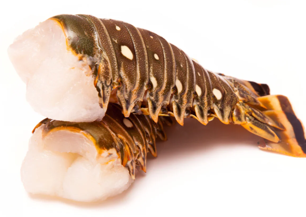 ROCK Lobster Tails 5oz