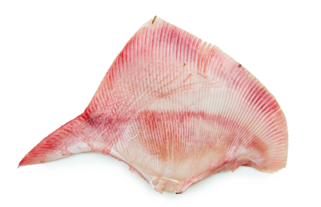 新鲜鳐鱼鱼翅1kg