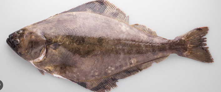 Halibut 1KG