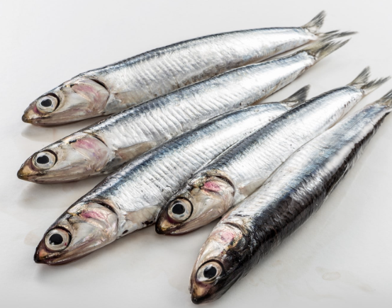 Anchovy 1KG