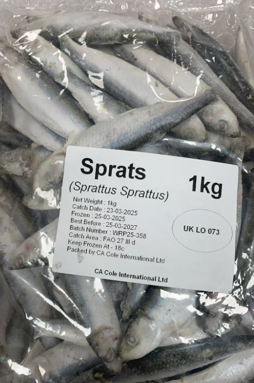 冷冻鲱鱼/沙丁鱼1KG