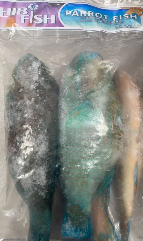 冷冻鹦鹉鱼1.8KG