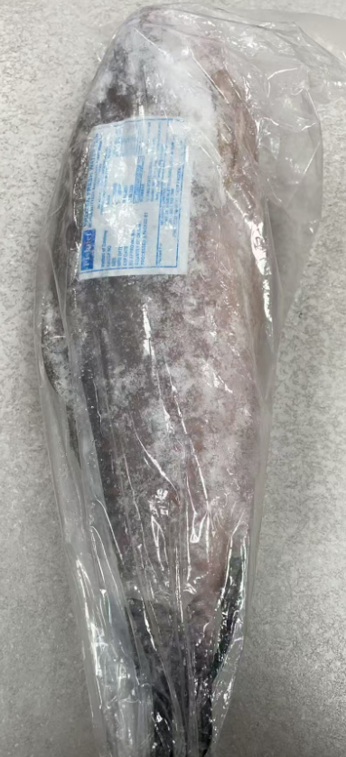 Frozen Gutted Fresh Water Rohu 3KG