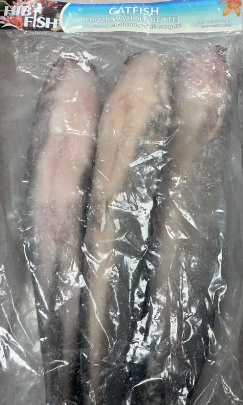 Frozen Whole Gutted Catfish 2.5KG