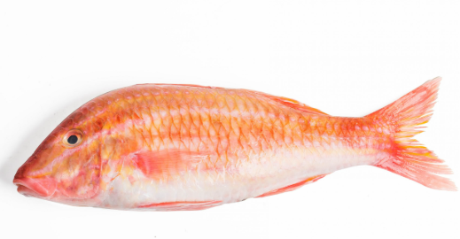 Fresh Red Mullet 1KG