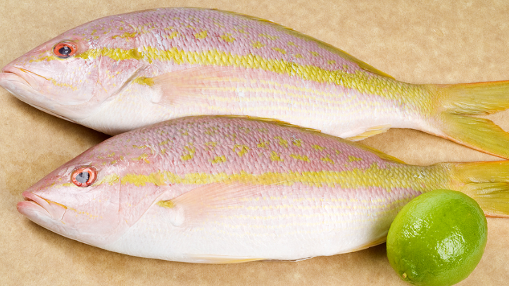 Fresh Snapper 1KG