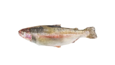 Fresh Rainbow Trout 1KG