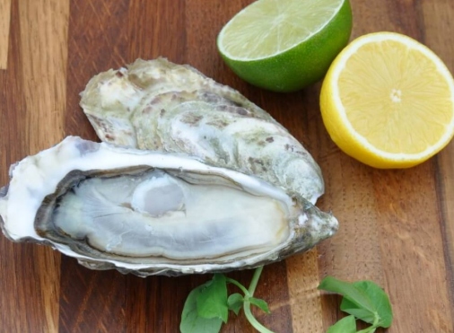 Fresh Big Jersey Oyster 1Pc