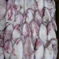 Frozen Whole Baby Squid