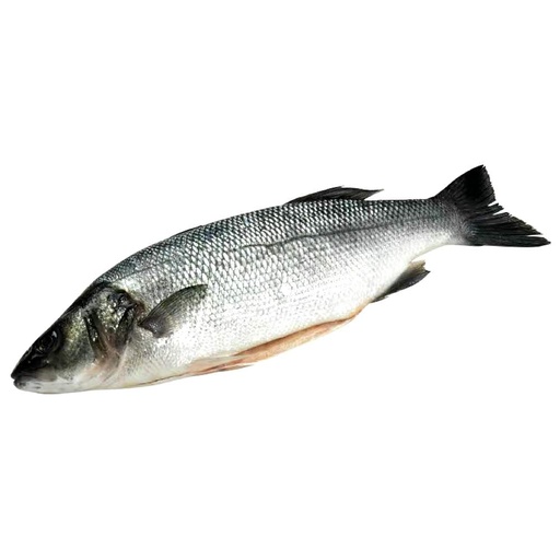 Fresh Seabass 1pc